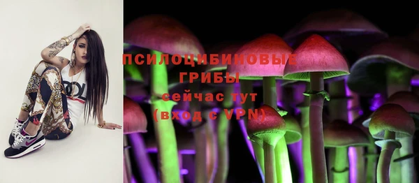гидропоника Алексин