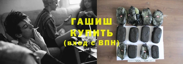 твердый Гусев