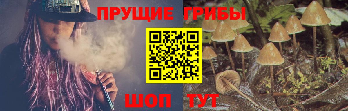 Галлюциногенные грибы ЛСД Борзя